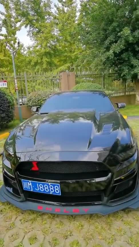 有个会说话的网红车,车主想带美女回家,没想到黑帅拒绝启动!