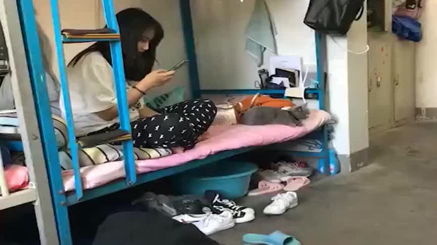 头一次知道,原来女生宿舍可以乱成这样,网友:真是没谁了