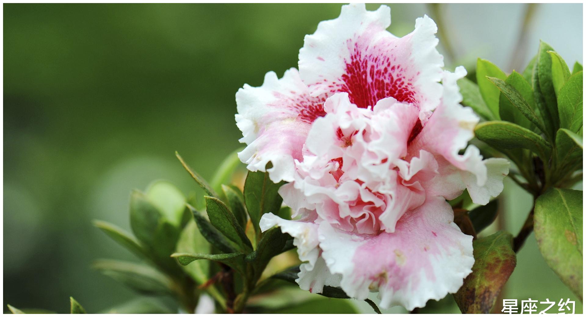 4月19日星座运势 目光长远 乘势而上的四大星座 财经头条