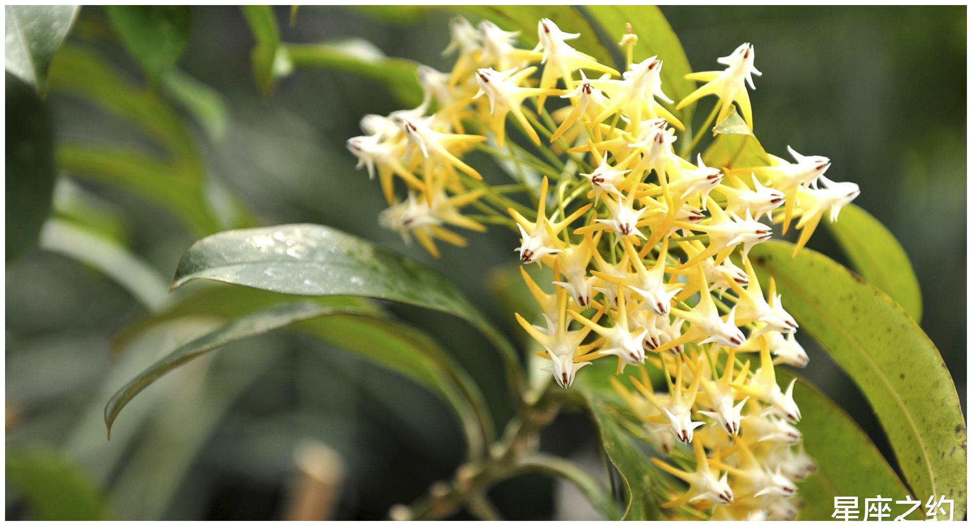 4月19日星座运势 目光长远 乘势而上的四大星座 财经头条