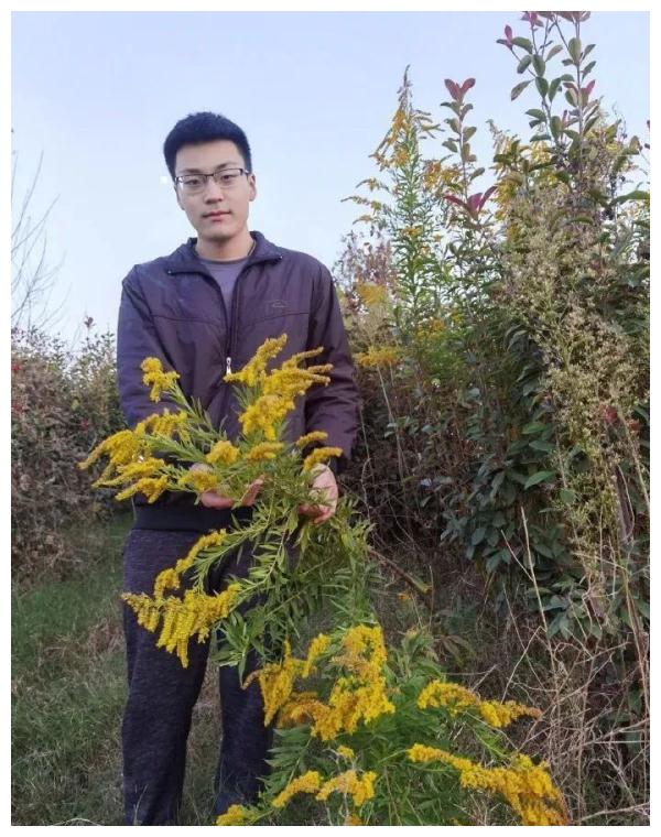 紧急提醒:发现这种黄花,立即上报!河南多地已出现!休闲区蓝鸢梦想 - Www.slyday.coM 紧急提醒:发现这种黄花,立即上报!河南多地已出现!休闲区蓝鸢梦想 - Www.slyday.coM