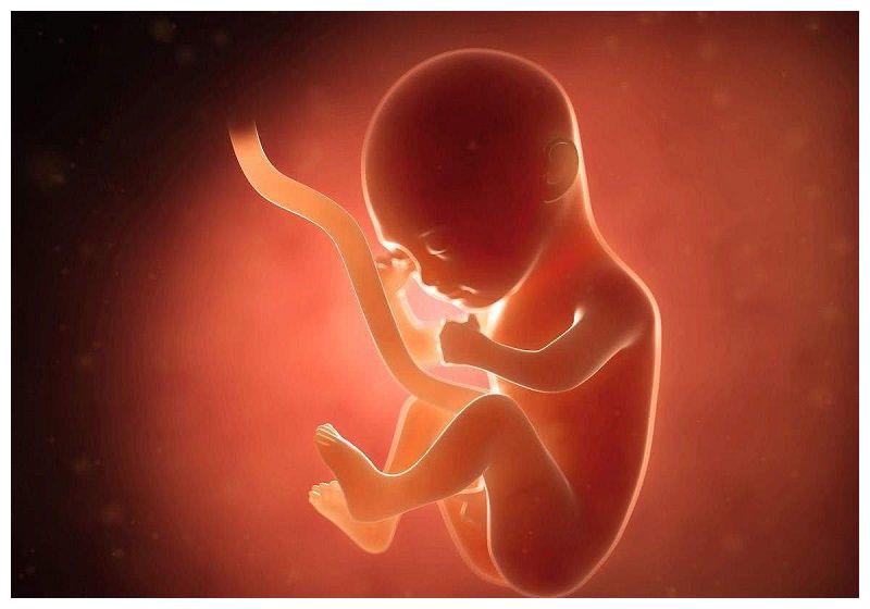 加拿大儿童研究医院孕吐反应越大孩子智商越高医生说了大实话