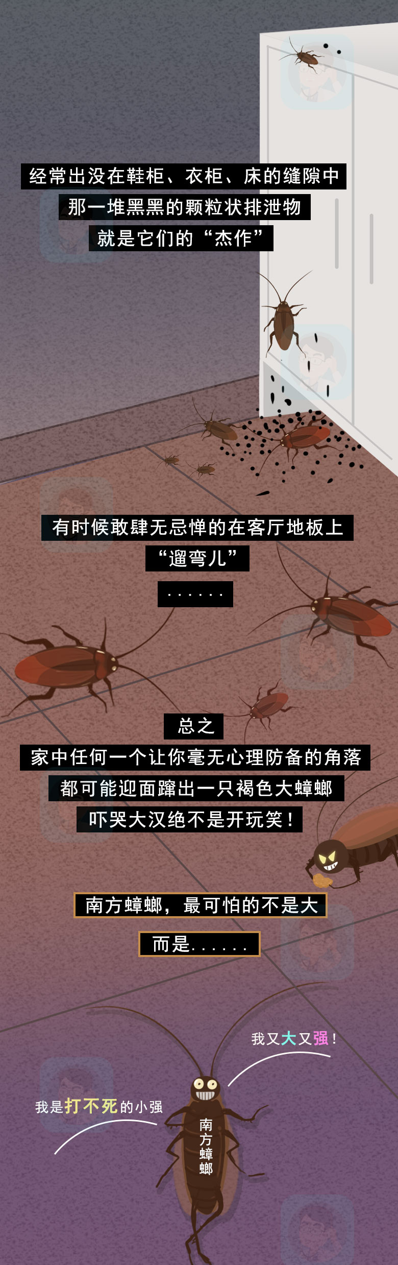 能把北方汉子吓哭的?唯有南方的大蟑螂!