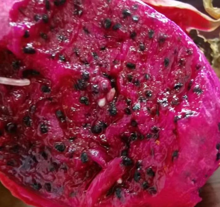 视频慎点姑娘在水果店买了箱火龙果吃到一半被恶心坏了