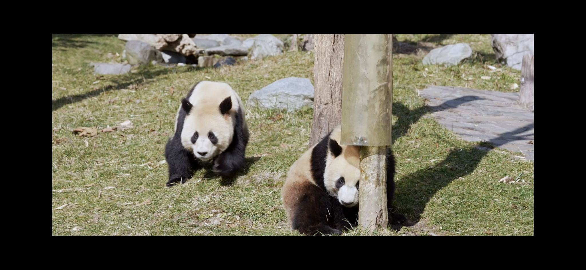 《一桌年夜饭2》传承年文化：追寻年味 致敬平凡