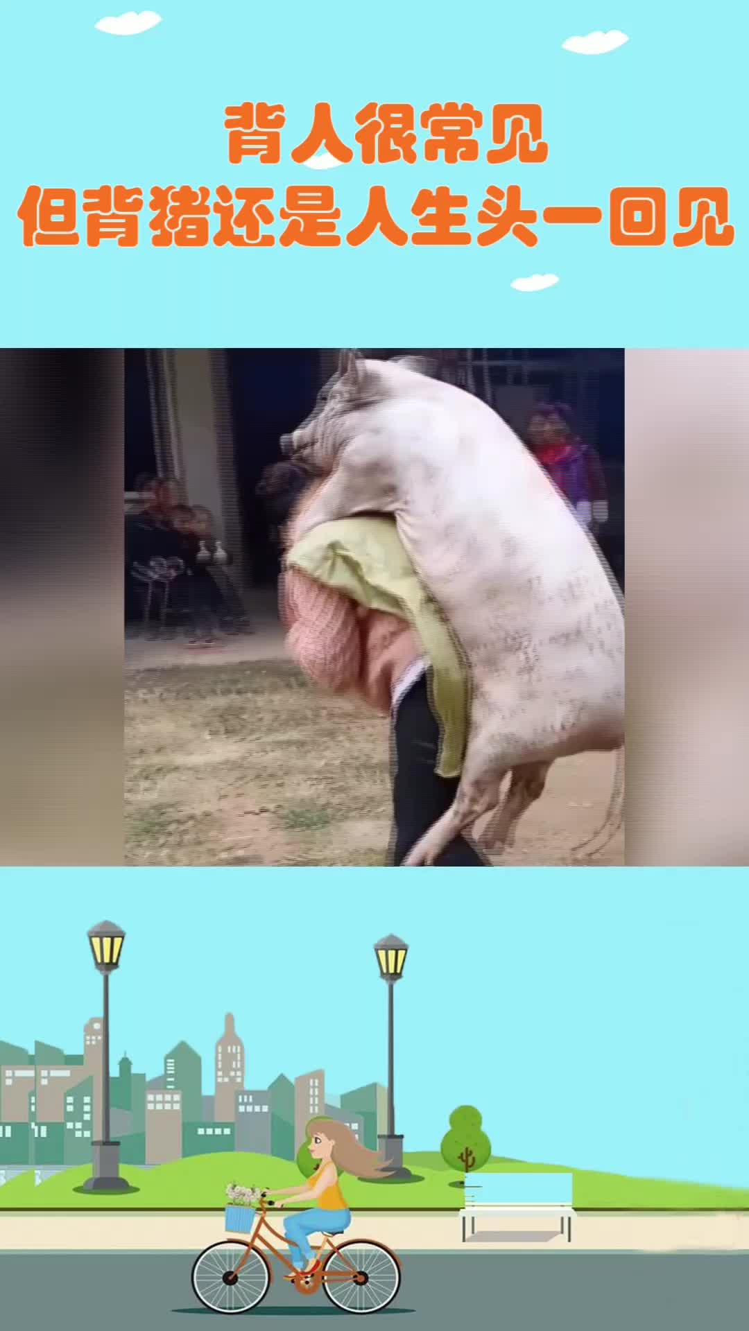 背人很常见,但背猪还是人生头一回见!