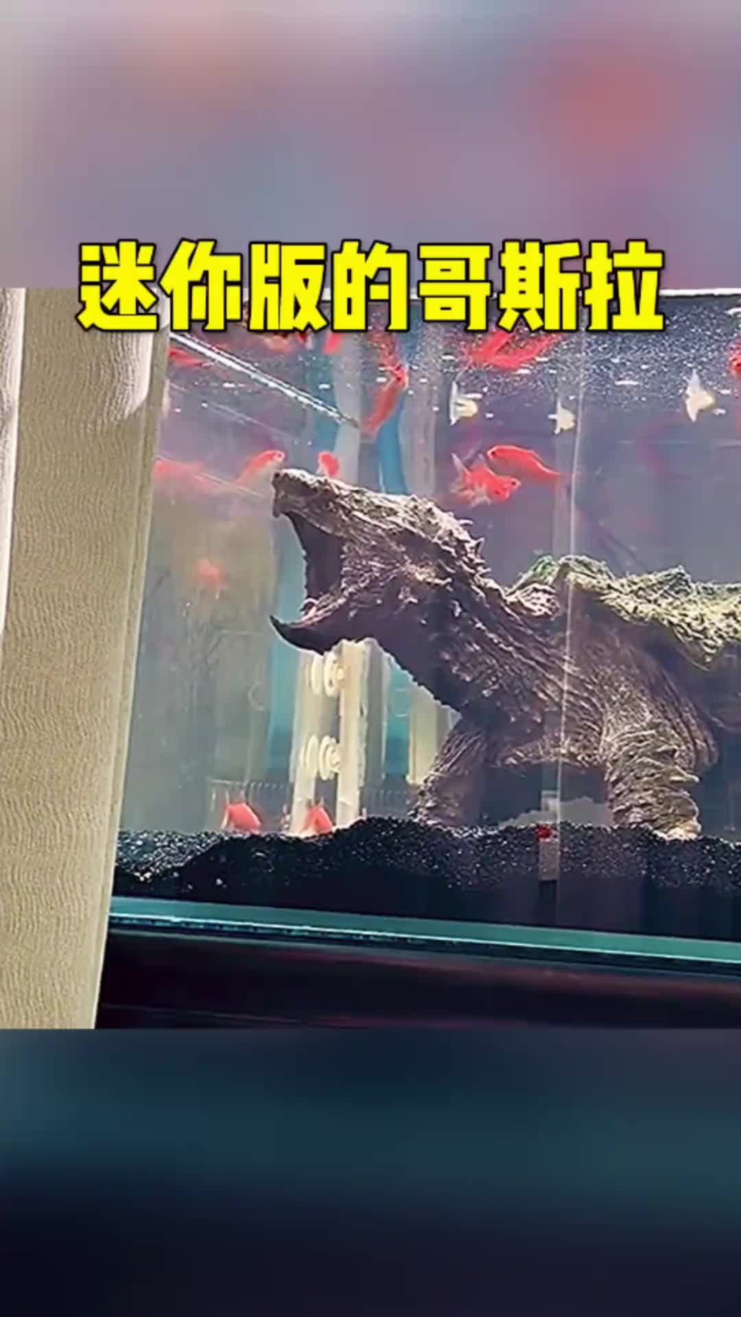 迷你版的哥斯拉呀