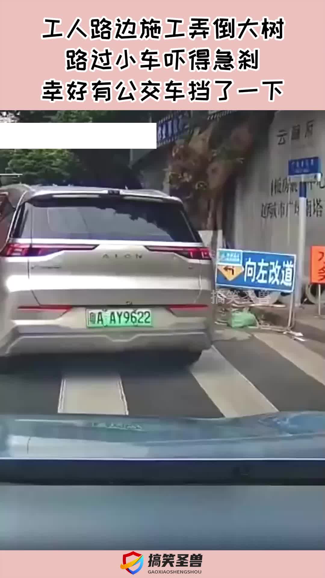 工人路边施工弄倒大树，路过小车吓得急刹，幸好有公交车挡了一下