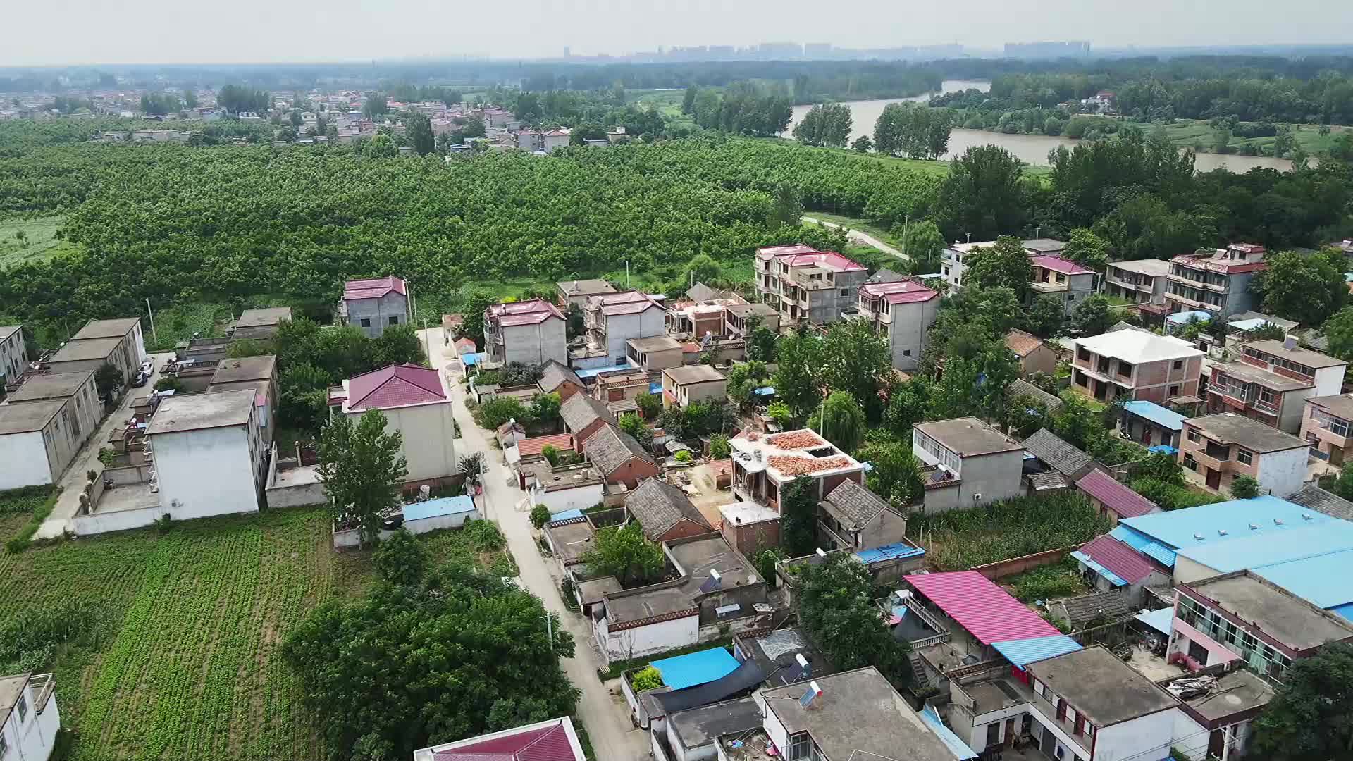 沈赵村,安徽省阜阳市界首市田营镇