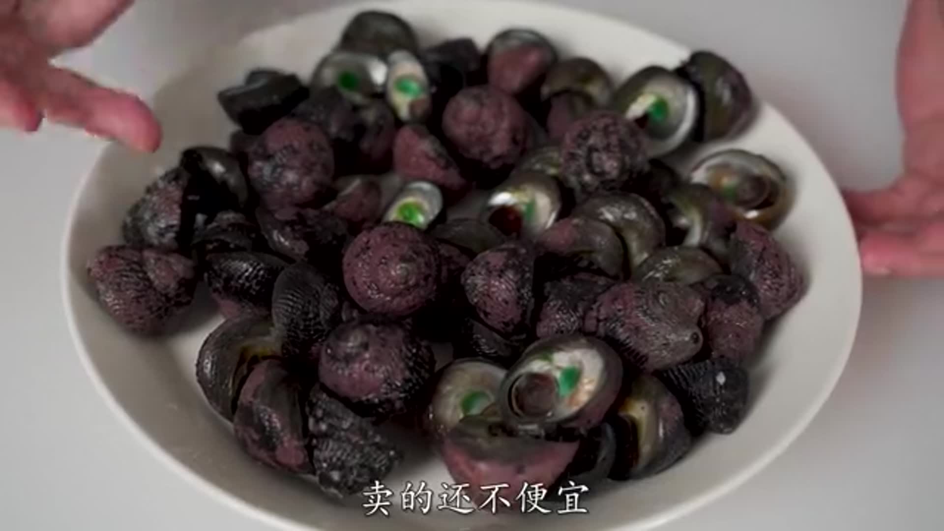 试吃很不起眼的青衣螺,简单的凉拌一下,居然也是上等美味