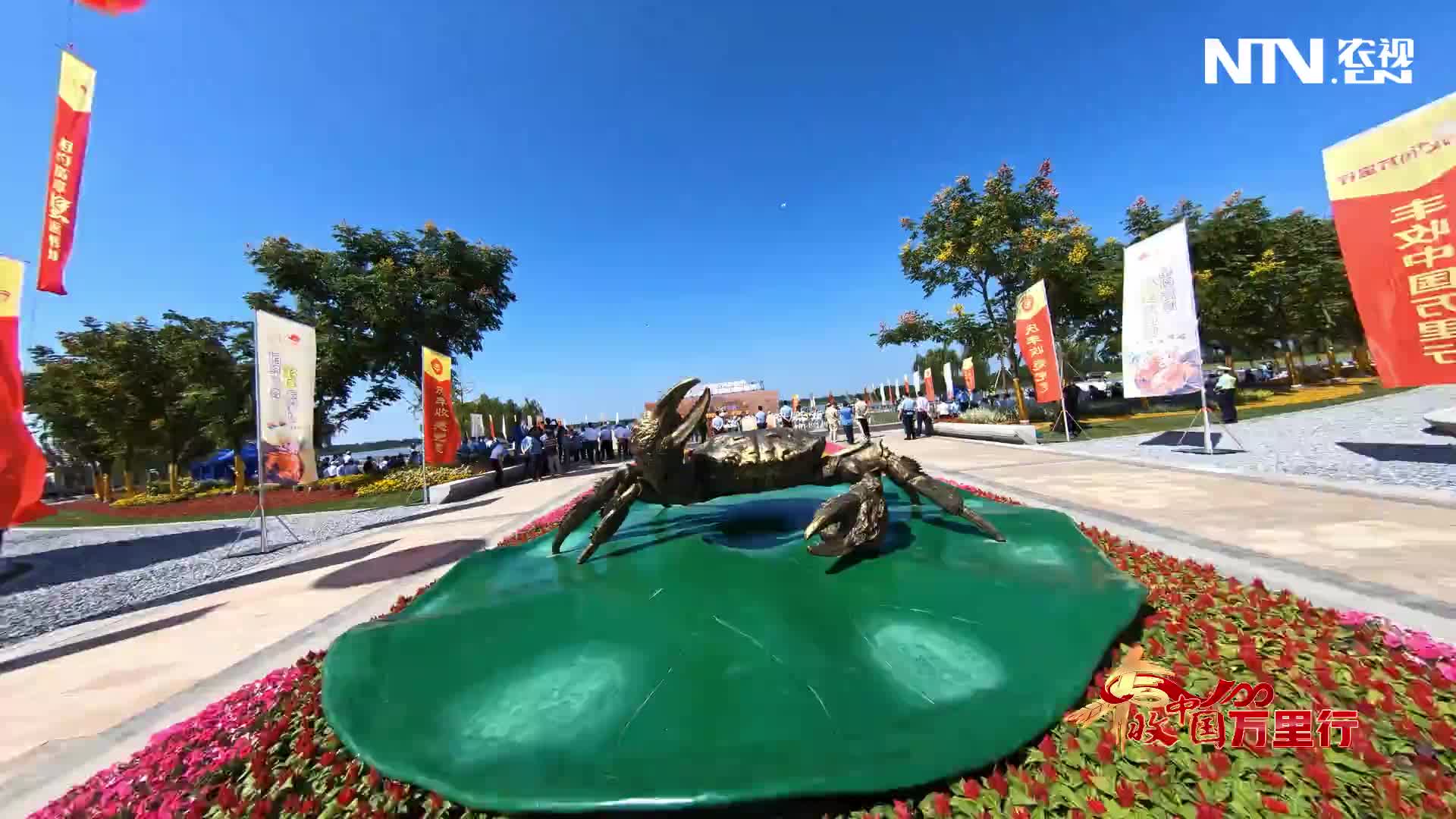 中国高淳固城湖螃蟹节开幕集锦