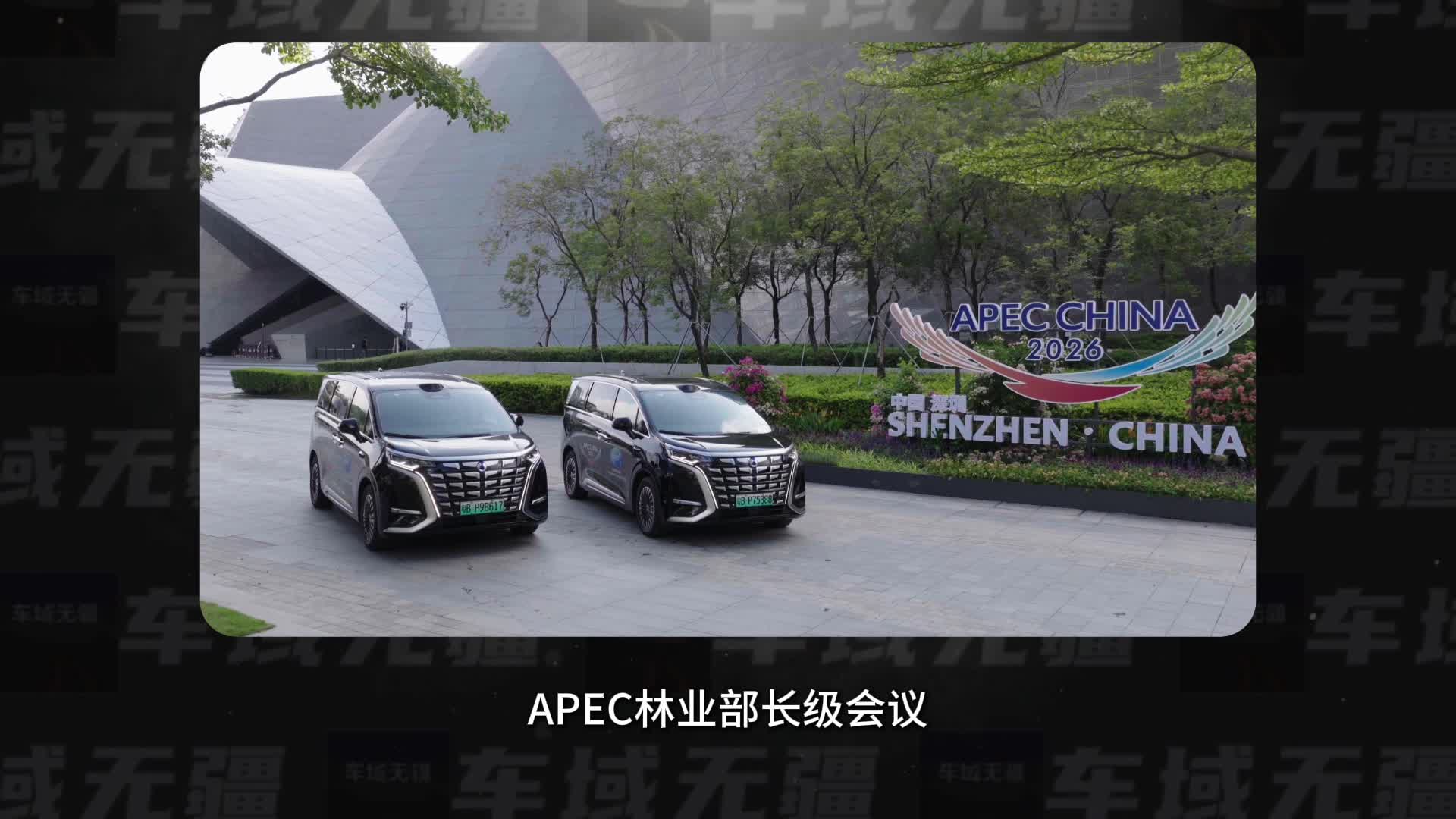 视频：什么车能在APEC接部长？清一色腾势D9！