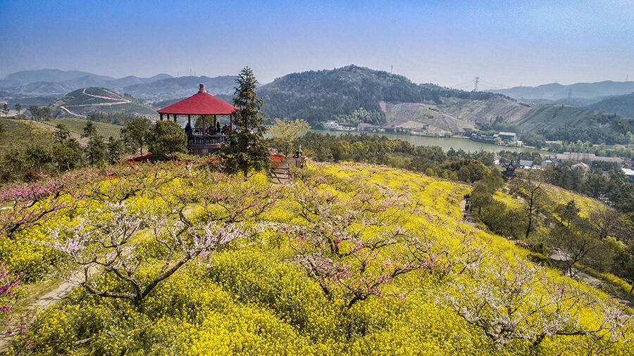 四月桃花朵朵开 长兴城山沟风景区 低音号旅游|长兴