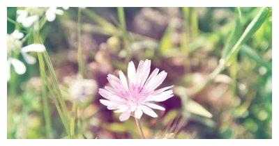 令人羡慕的4个星座女，总是特别的优秀，追求者也是很多休闲区蓝鸢梦想 - Www.slyday.coM