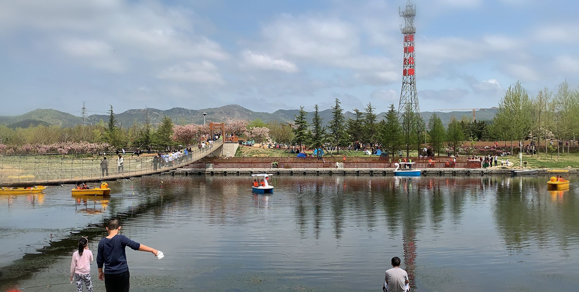 大美!威海羊亭河省级湿地公园_高清图集_新浪网