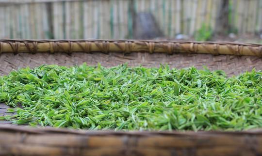 建议中老年人：生活别太节俭，多喝这5款口粮茶，越喝身体越年轻休闲区蓝鸢梦想 - Www.slyday.coM