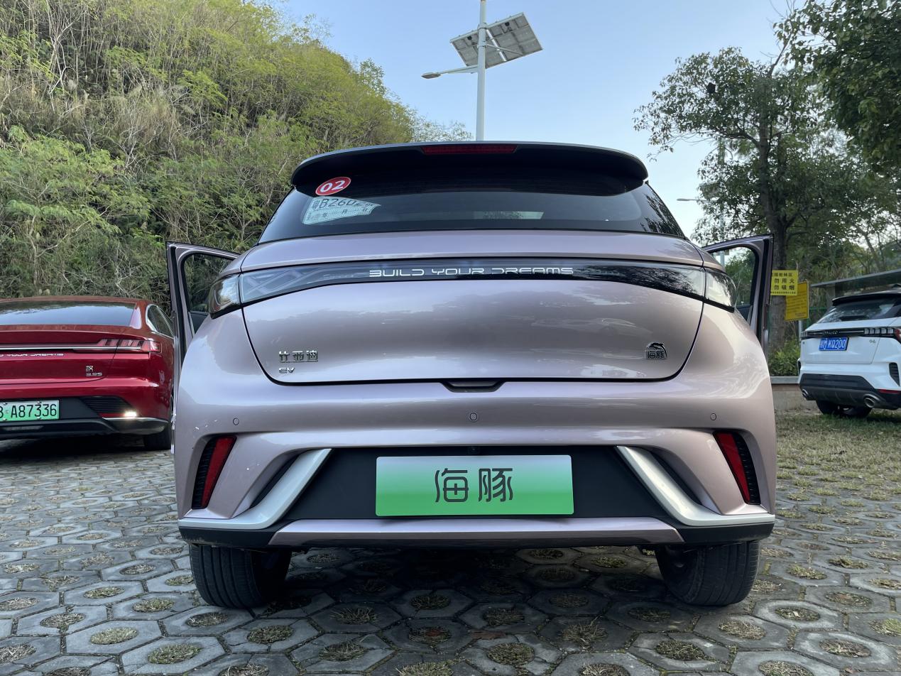 比亚迪海洋系列首款生物海豚实力不容小觑