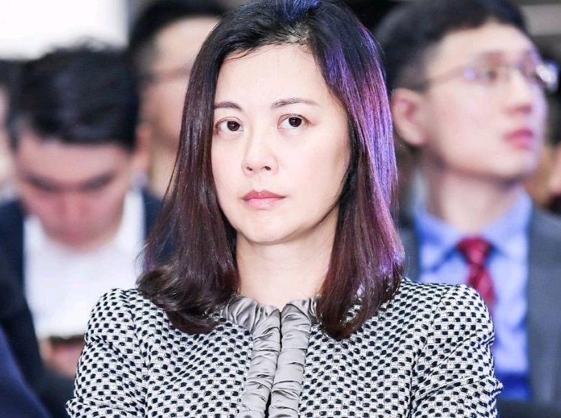 央视|姜丰|才女_新浪新闻