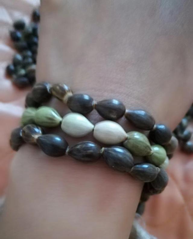 草珠子,农村娃最稀罕的装饰品,80后的你一定认识|草