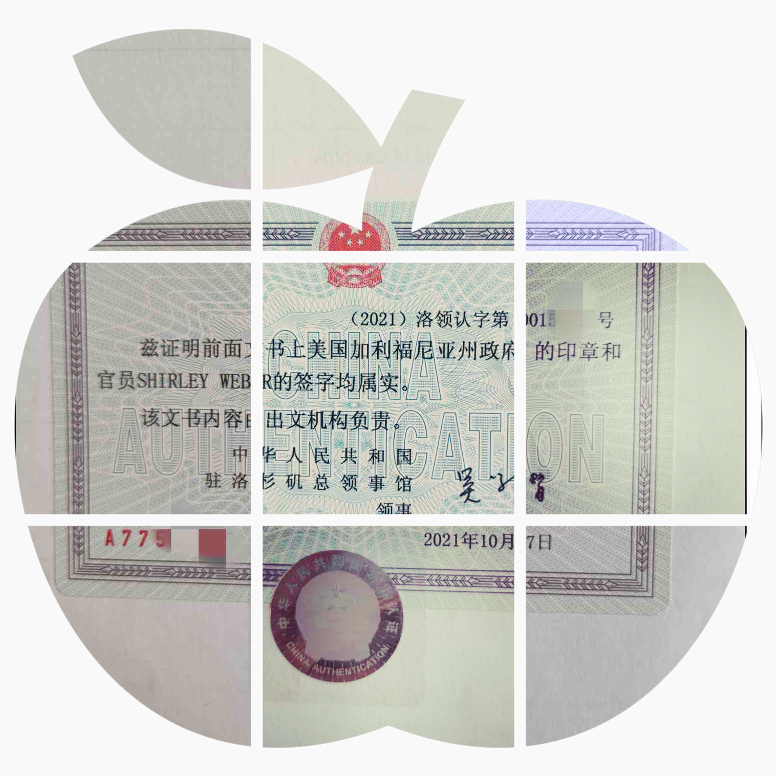办理<a href=