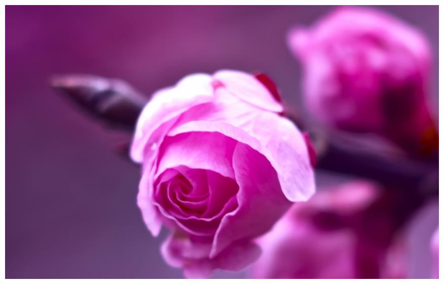 从11月日开始 运势不错 会鸿运当头 心想事成的三大星座 从11月日开始 运势不错 会鸿运当头 心想事成的三大星座