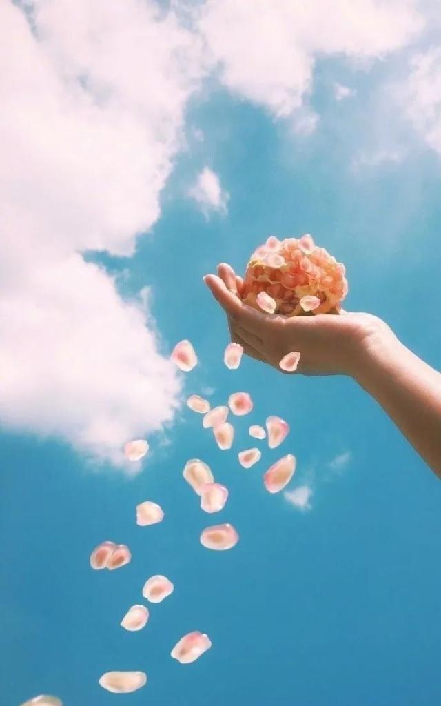 发朋友圈图片 新浪网