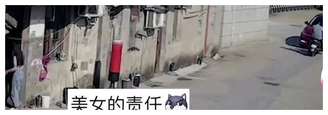 浙江一骑行男子用扭头偷看路边的美女，结果下一秒悲剧了……休闲区蓝鸢梦想 - Www.slyday.coM