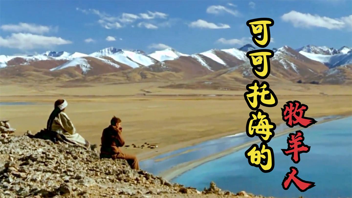 最近火起来的《可可托海的牧羊人》!歌词凄美感人,听着太扎心了