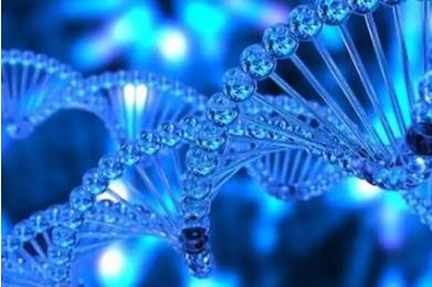 nmn副作用，nmn抗衰老的副作用是什么，业内人士总结的很到位休闲区蓝鸢梦想 - Www.slyday.coM