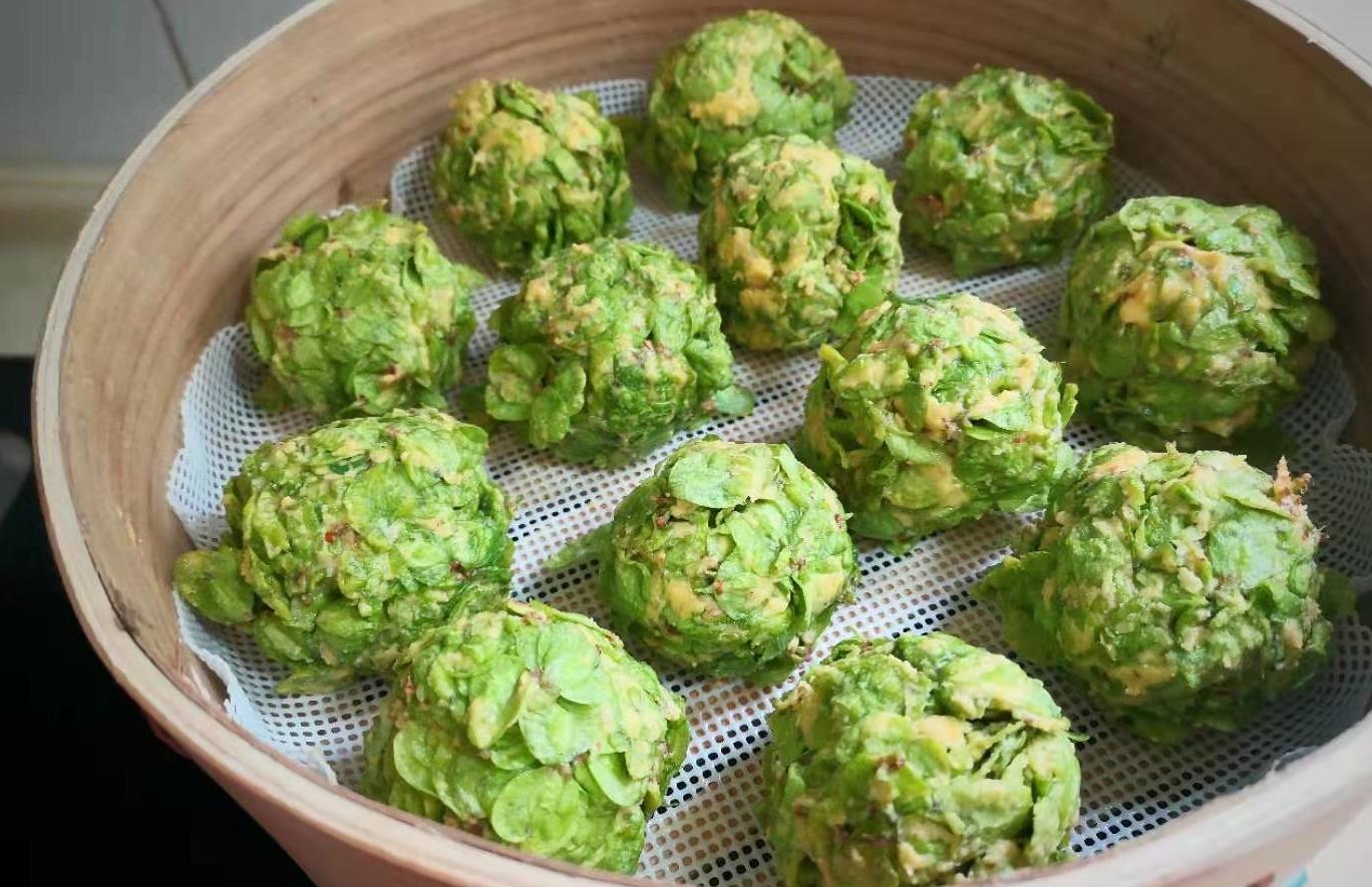 了三月,村里家家户户都会采摘榆树上的榆钱叶子,做榆钱麦饭,榆钱馒头