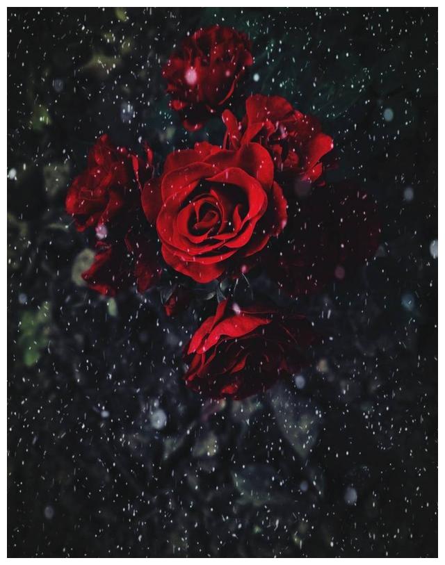 未来五天,寻寻觅觅,喋喋不休,重归于好,不念过往,余生相依偎休闲区蓝鸢梦想 - Www.slyday.coM 未来五天,寻寻觅觅,喋喋不休,重归于好,不念过往,余生相依偎休闲区蓝鸢梦想 - Www.slyday.coM