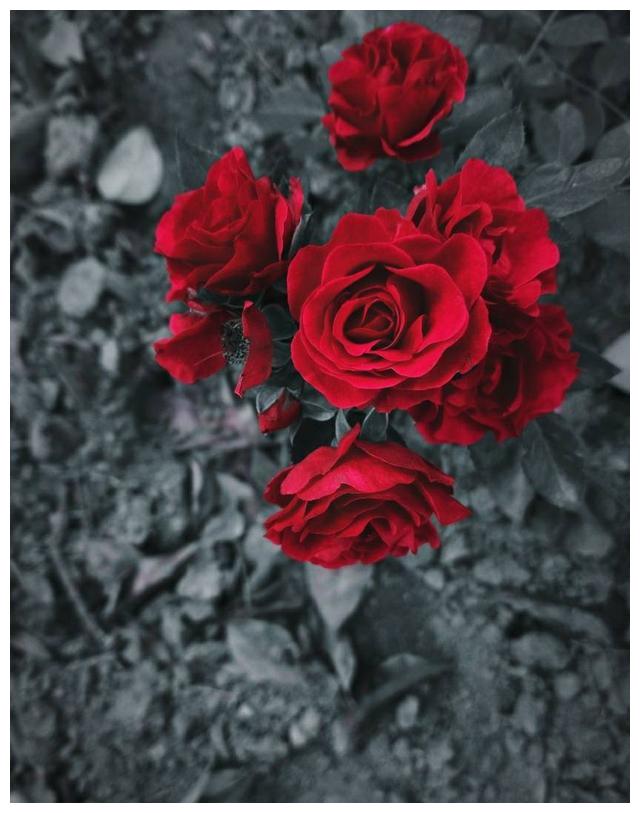 未来五天,寻寻觅觅,喋喋不休,重归于好,不念过往,余生相依偎休闲区蓝鸢梦想 - Www.slyday.coM 未来五天,寻寻觅觅,喋喋不休,重归于好,不念过往,余生相依偎休闲区蓝鸢梦想 - Www.slyday.coM