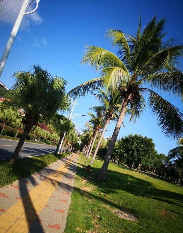 中国最喜欢骑电瓶车的城市,两座城市都在南方,几乎人手一辆!休闲区蓝鸢梦想 - Www.slyday.coM 中国最喜欢骑电瓶车的城市,两座城市都在南方,几乎人手一辆!休闲区蓝鸢梦想 - Www.slyday.coM