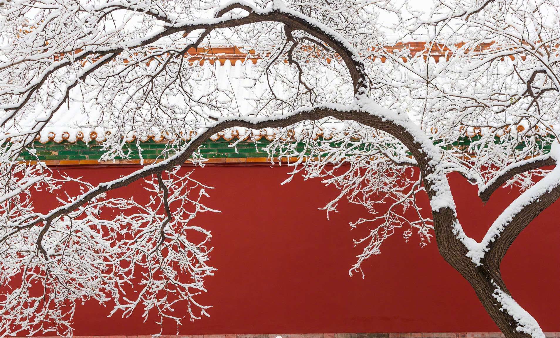 故宫雪景摄影壁纸,摄影:故宫博物院 0