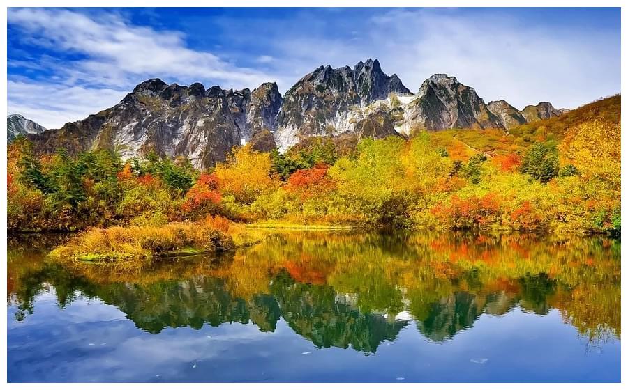 12月25日星座运势4 6名 狮子座 天蝎座和天秤座运势有上升势头 运势 天秤座 天蝎座 新浪新闻 12月25日星座运势4 6名 狮子座 天蝎座和天秤座运势有上升势头 运势 天秤座 天蝎座 新浪新闻