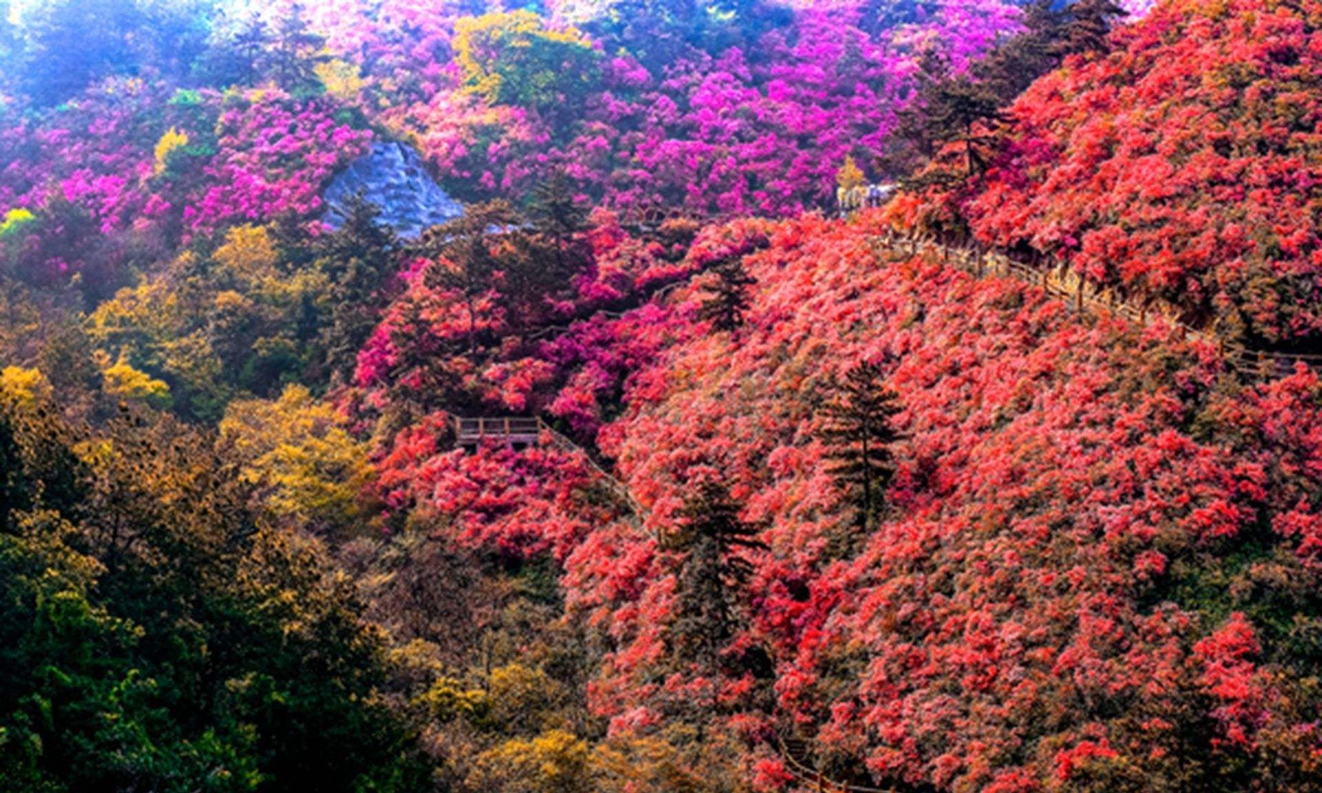 武汉锦里沟风景区,风景宜人古色古风,很适合一家人周末游玩