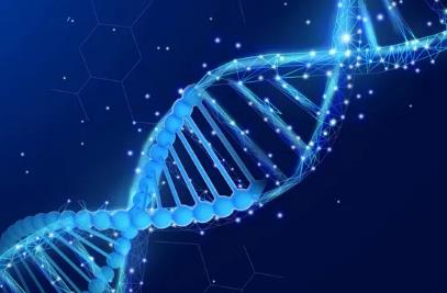 nmn副作用，nmn抗衰老的副作用是什么，业内人士总结的很到位休闲区蓝鸢梦想 - Www.slyday.coM