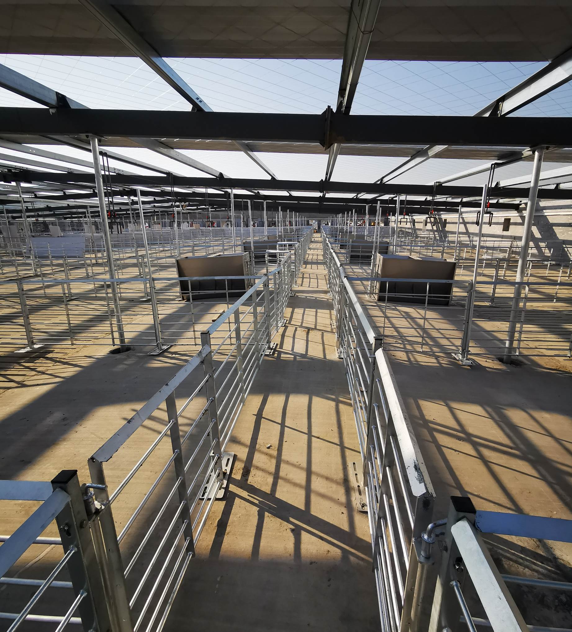 强强联合!中集物联牵手新希望开启智慧养殖新生态