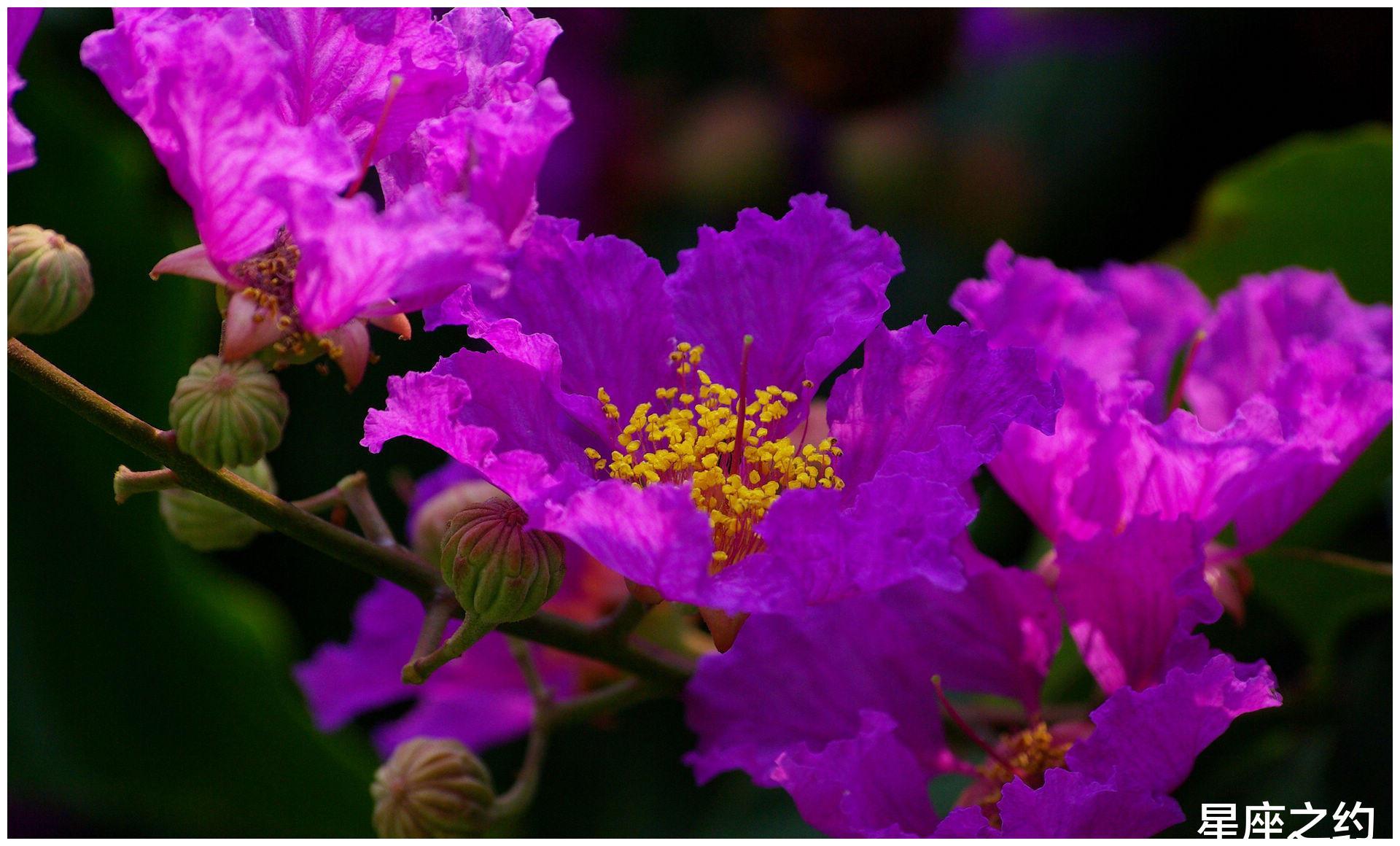 5月12日星座运势 克己奉公 积极向上的四大星座 财经头条