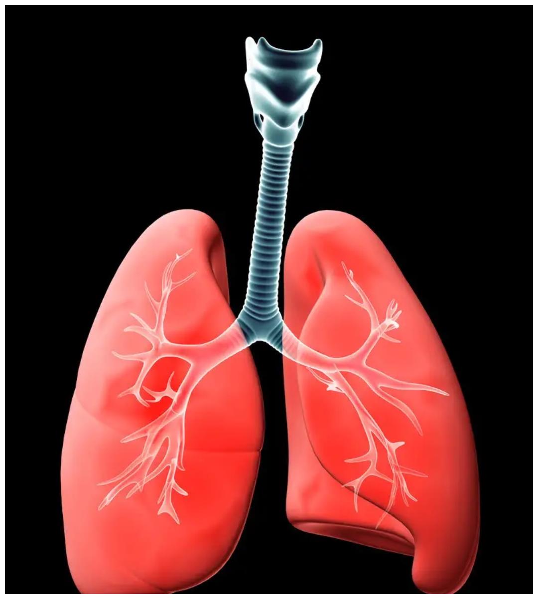 肺出问题会有什么征兆，你知道吗？休闲区蓝鸢梦想 - Www.slyday.coM