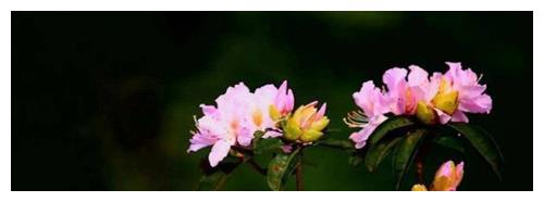 从出生月份看女人性格 测过的都说准 快来对比对比 财经头条