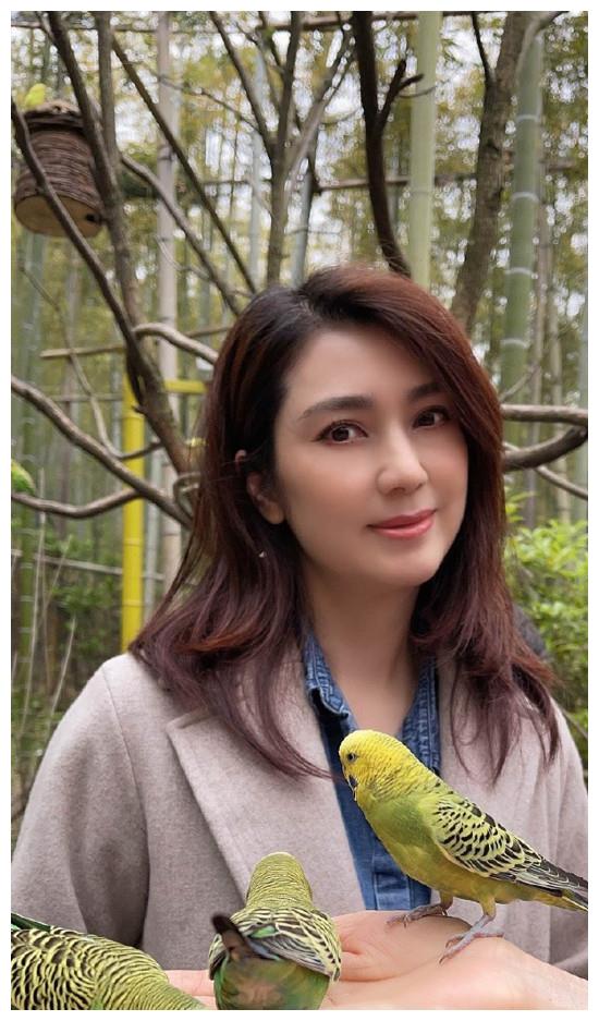 50岁洪欣近照曝光,脸部发福圆了一圈__财经头条