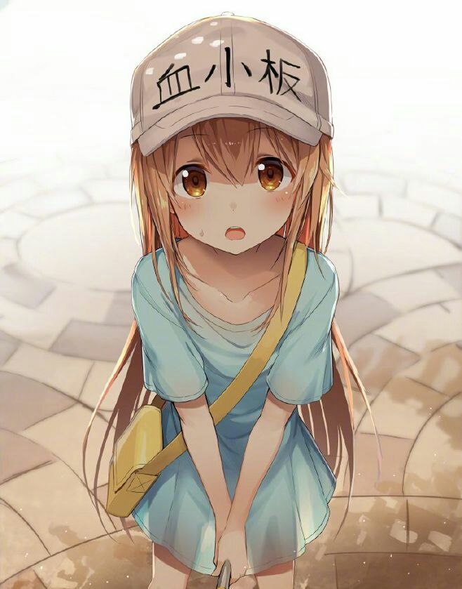 动漫壁纸：《工作细胞》~血小板~③特辑