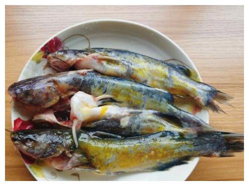 和豆腐一起烧,营养美味,这样吃最补钙|黄颡鱼|豆腐|营养_新浪新闻