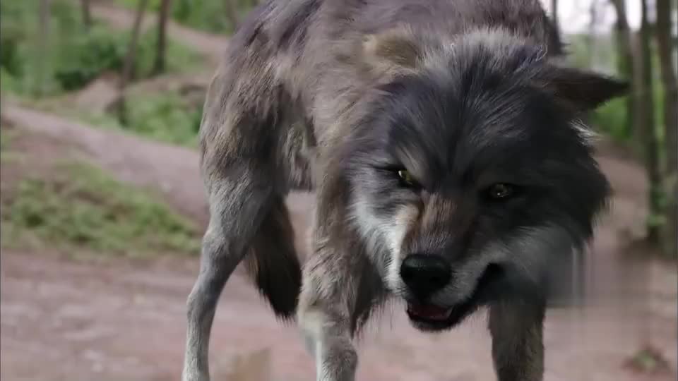 陈长生一滴血竟然引来妖狼原来这血如此不一般