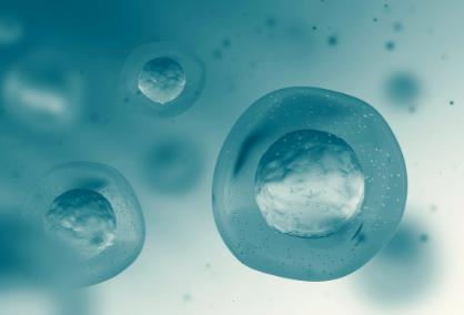 nmn副作用，nmn抗衰老的副作用是什么，业内人士总结的很到位休闲区蓝鸢梦想 - Www.slyday.coM