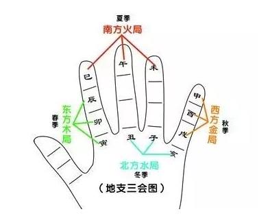 掐指一算十二地支掌诀图