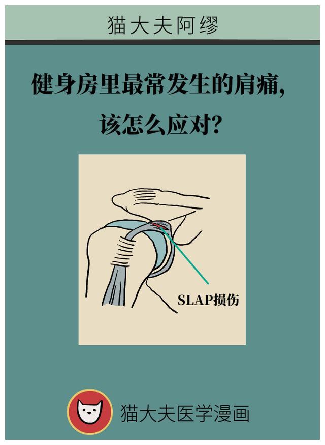 健身房里最常发生的肩痛,该怎么应对?