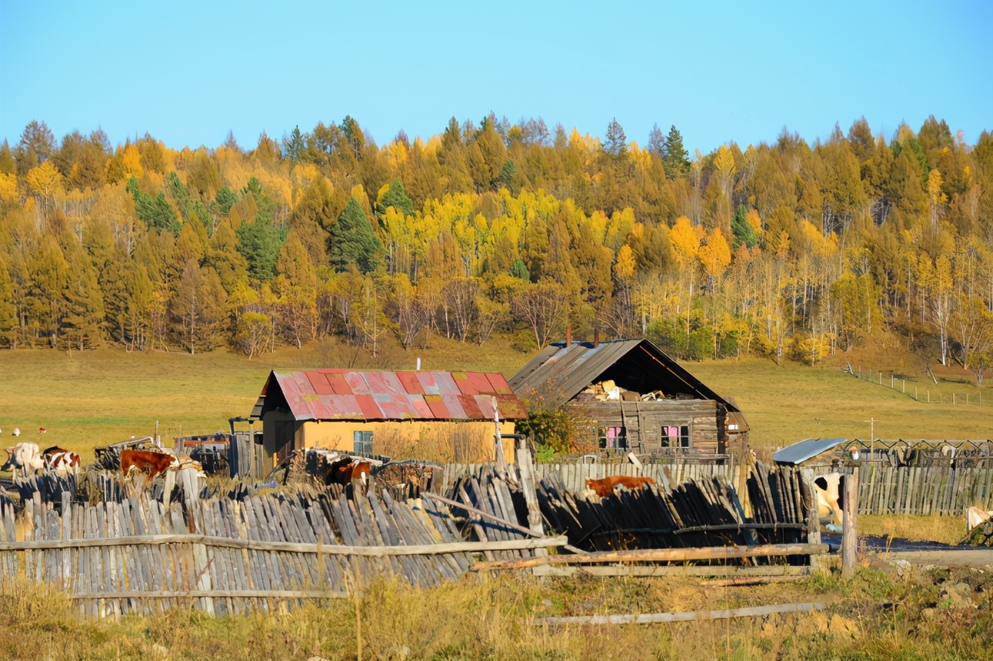 内蒙古一村庄走红,仅有8户人家,宛如童话仙境