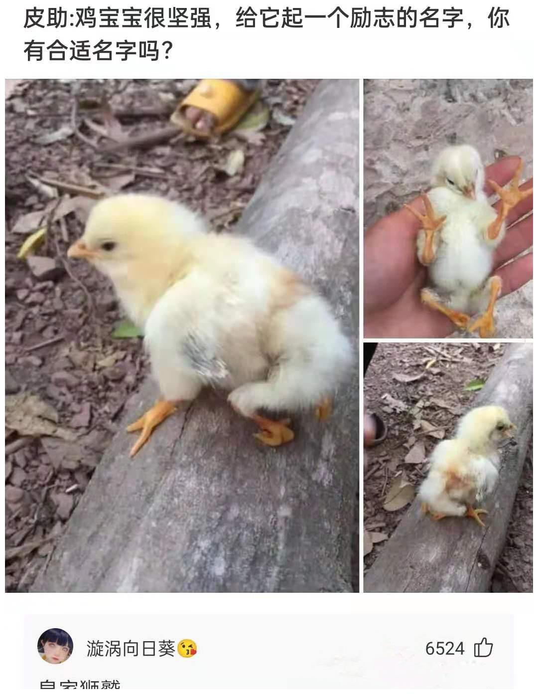 是不是可以发明一种纸币，这样手机没电的话也可以买东西？休闲区蓝鸢梦想 - Www.slyday.coM